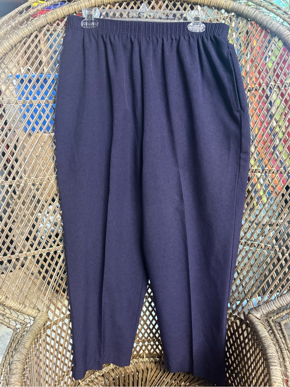 BonWorth Elastic Waist Purple Pants